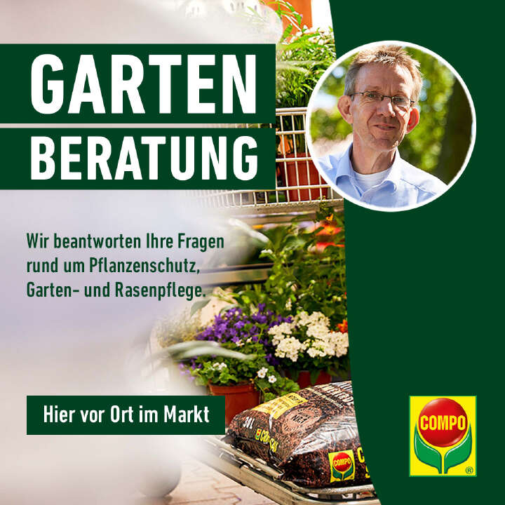 COMPO Gartenberatung Facebook+Instagram Feed 1x1 (1)